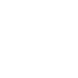 3D Model Mind Icon