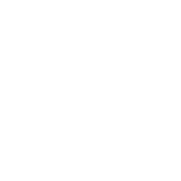 Airspace Areas Shield Icon