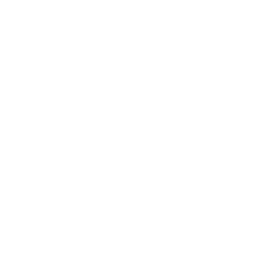 Antenna Tower Camera Icon