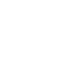 Antenna Tower Health Icon