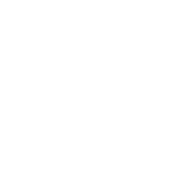 Antenna Tower Measure Icon