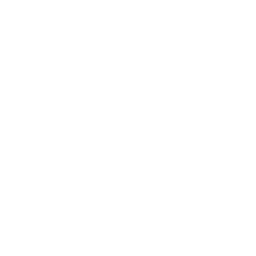 Antenna Tower Mind Icon