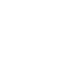 Antenna Tower Money Icon
