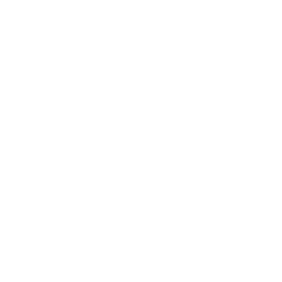 Antenna Tower Report Settings Icon