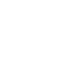 Antenna Tower Report Icon