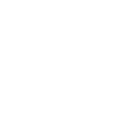 Antenna Tower Settings Icon