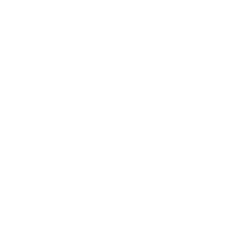 Aperture 11 Icon