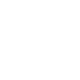 App Drone Icon