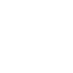 Badge Checkmark Icon