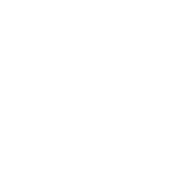 Badge Part 107 Icon