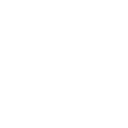 Badge Shield Checkmark Icon