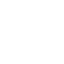 Badges Shield Checkmark Wings Icon