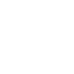 Batteries Charging Icon