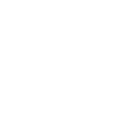 Batteries Variant Icon