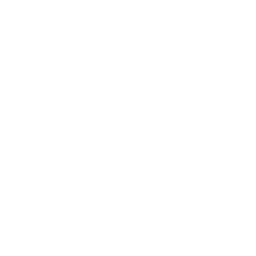 Battery Variant Icon