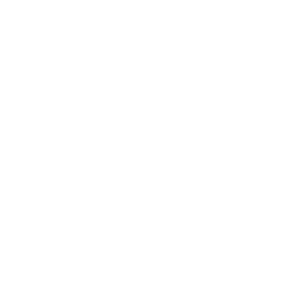 Bridge Drone Fixed Wing Icon