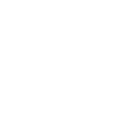 Bridge Drone Icon