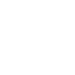 Building Annotated Icon