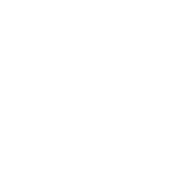 Building Camera Icon