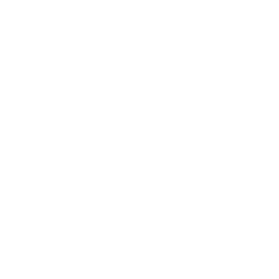 Building Health Icon