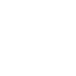 Building Report Search Icon