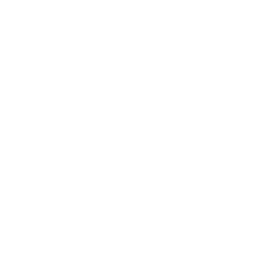 Building Report Shield Icon