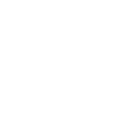 Building Search Icon