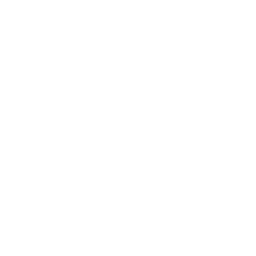 Building Shield Icon