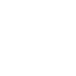 BVLOS Drone Icon