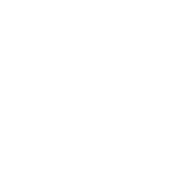 Calendar Drone Icon