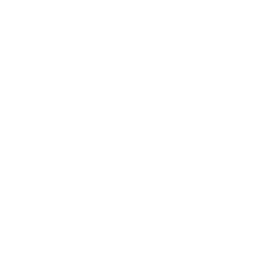 Camera Back Icon