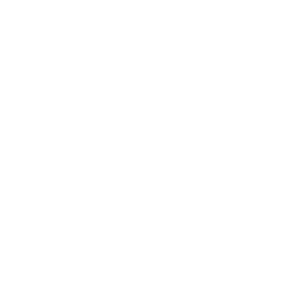 Camera Checkmark Icon