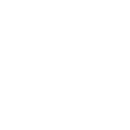 Camera Geotag Icon