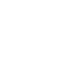 Camera Gimbal Icon