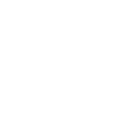 Camera Mount Icon