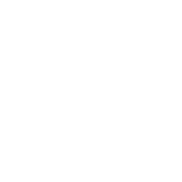 Camera Orbit Icon