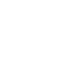 Camera Repeat Icon