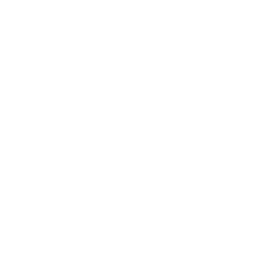 Camera Settings Icon