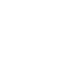 Camera Video Icon