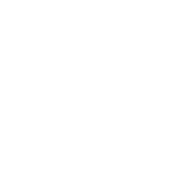 Case Checkmark Icon