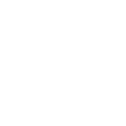 Case Drone Icon
