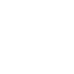Chat Drone Icon