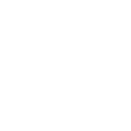 Chats Drones Icon