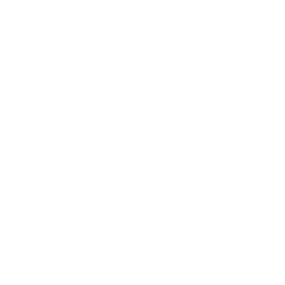 Checkbox Drone Fixed Wing Icon