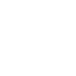 Checkbox Drone Icon
