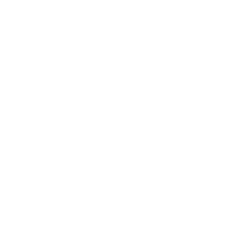 Checkboxes Checklist Icon