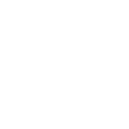 Checkboxes Drone Fixed Wing Icon