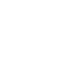 Checkboxes Drone Icon