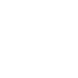 Checkboxes Icon