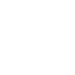 Checklist Mobile Icon